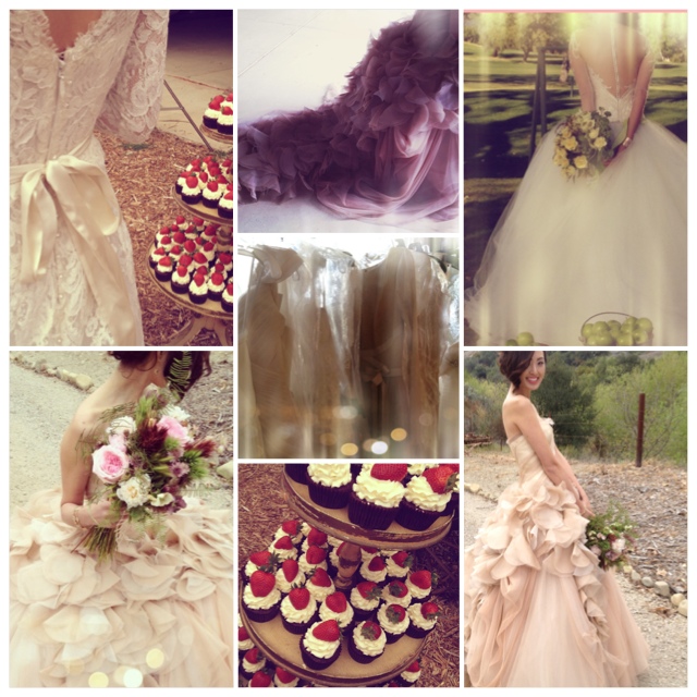 PhotoShake