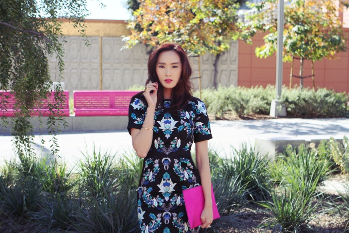 Asos_Chriselle_Lim_Pink_Pony_hair_Clutch_Blue_Embroidered_Dress_6
