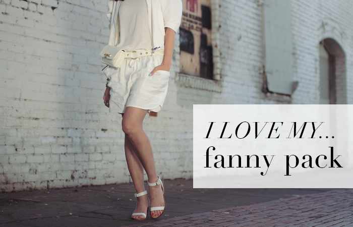 fannycover1