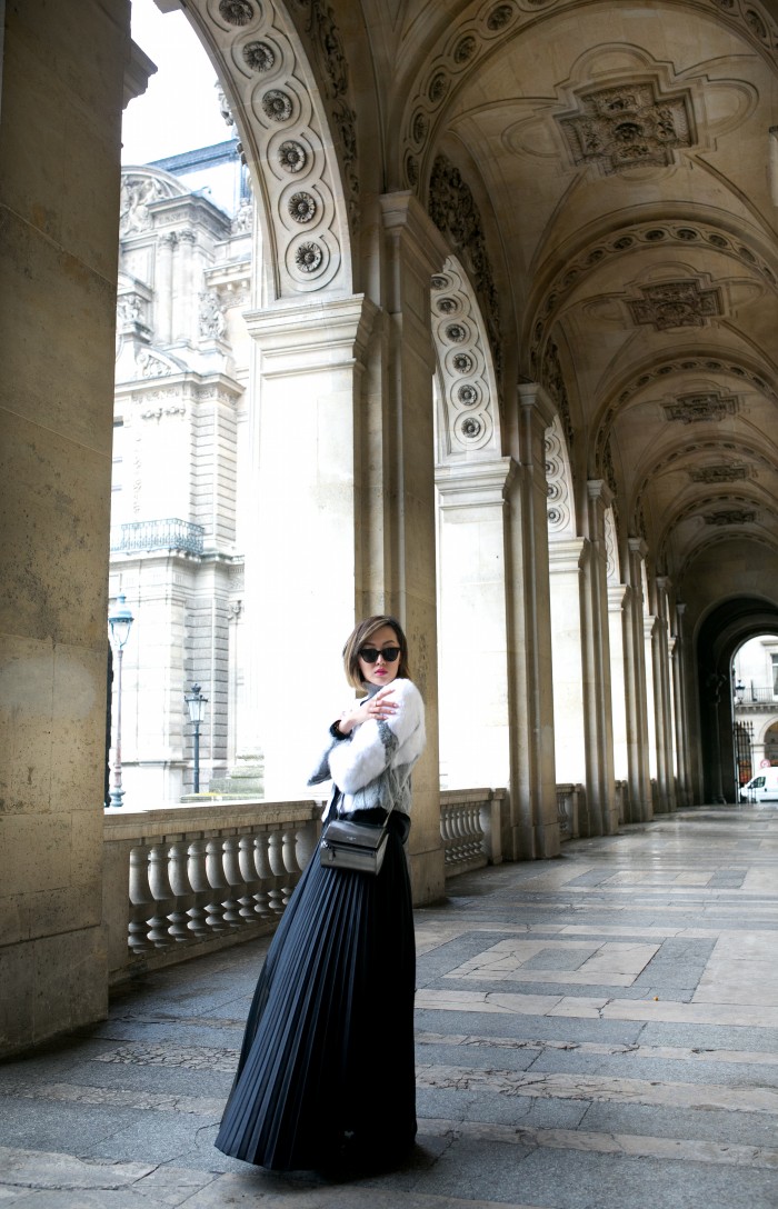 chriselle_lim_helmut_lang_fur_jacket_sam_and_lavi_pleated_maxi_skirt_vivian_chan_sheer_turtleneck_jana_williams_photography_paris_Fashion_week_PFW_Fall_2014_5