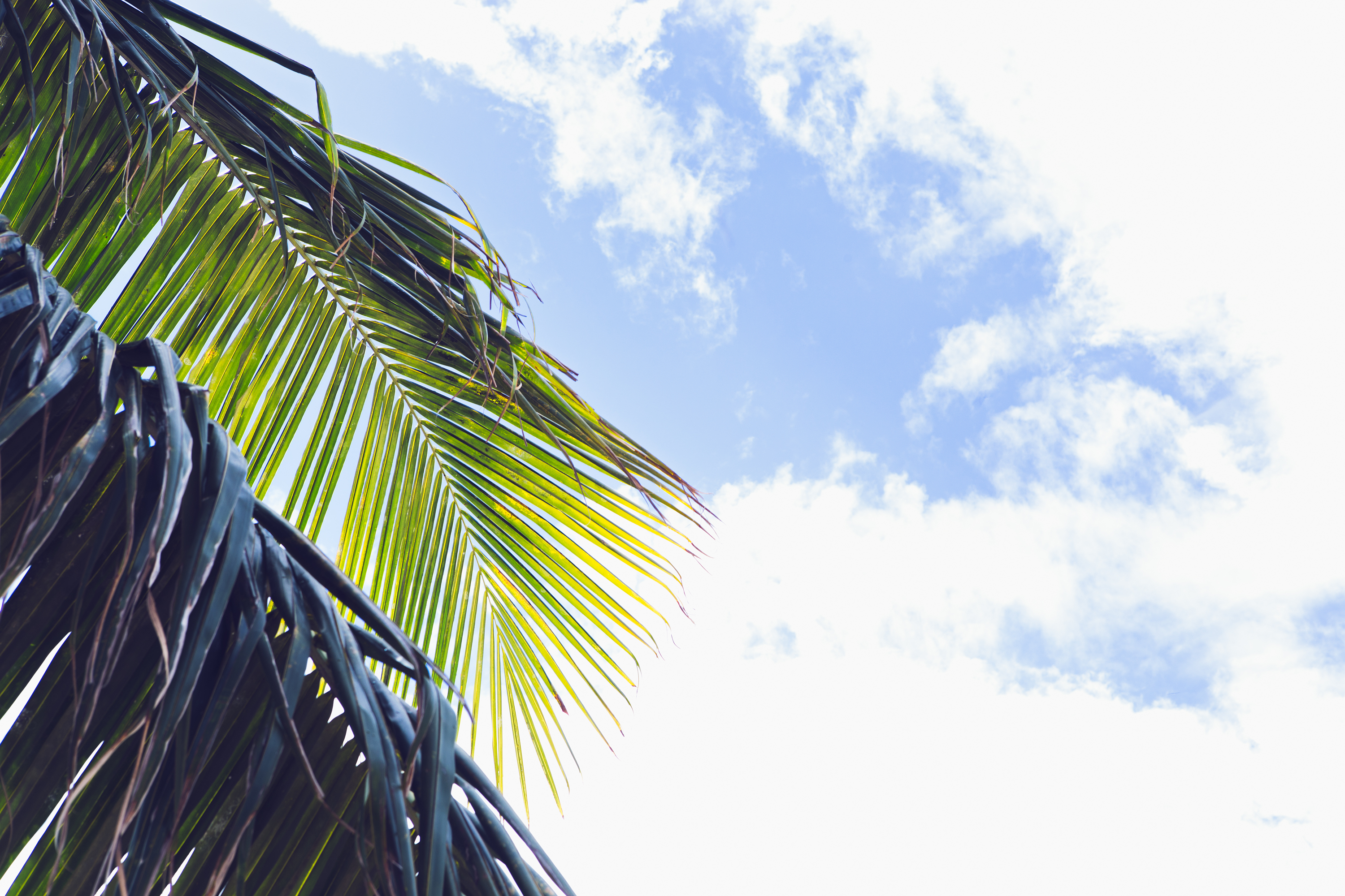 0801_bahamas_hr-117