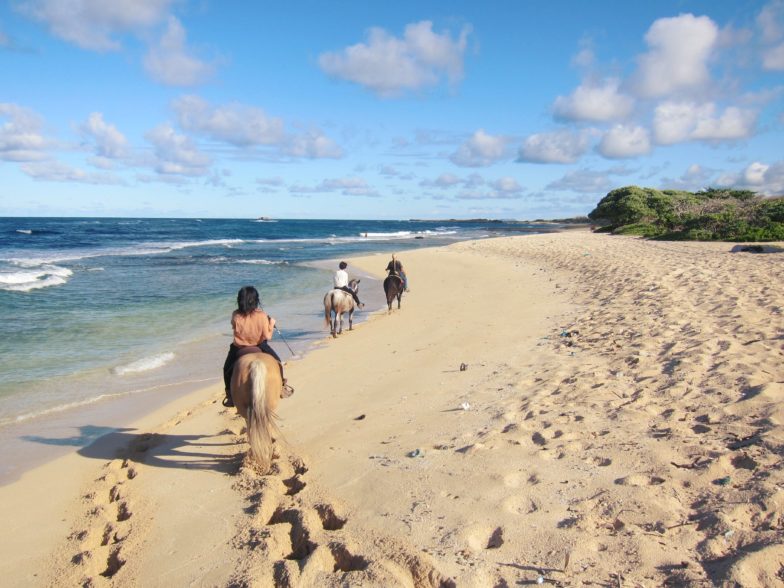 Sunlit Daydreams & Saltwater Kisses The Chriselle Factor